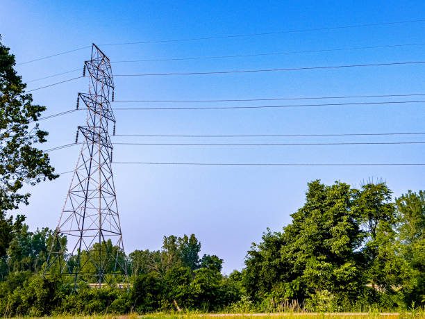 High Voltage Power Transmission Wires are high above green foliage.  There is a single power line tower. .