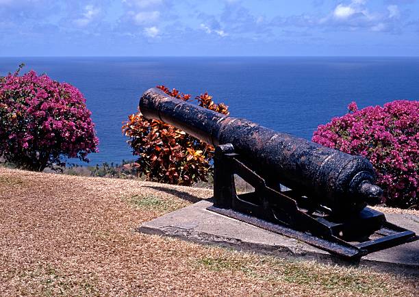 istock Canon, Scarborough, Tobago 178832310