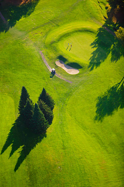 istock Aerial image of a golf course. 178832500
