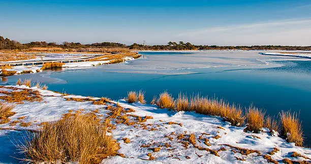 Photo of Snow covered marsh at Assateague Island National Seashore