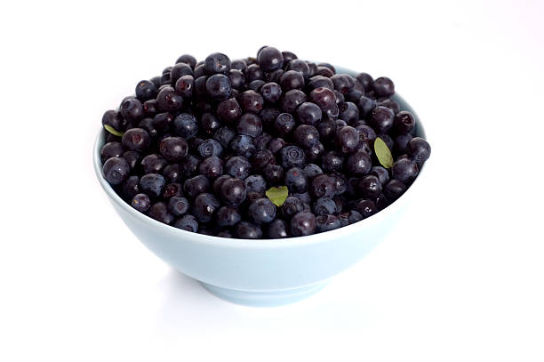 istock blueberry isolated on white background 178832781
