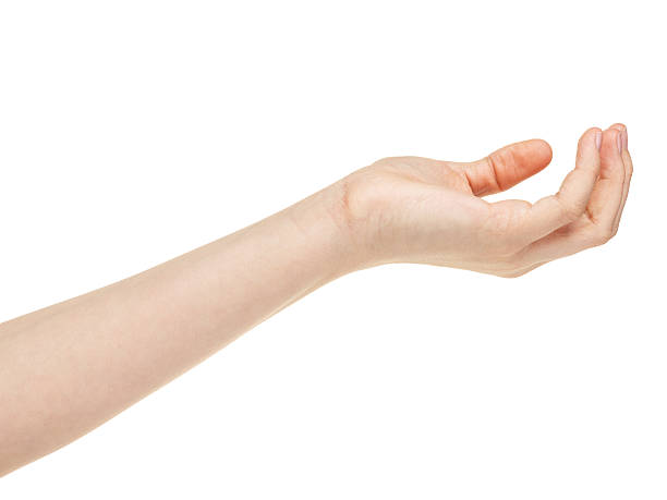 istock empty female teen hand 178833180