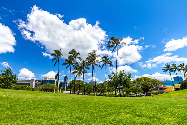 istock Kakaako waterfront park Oahu Hawaii 178833386
