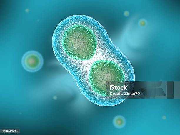 Osmosi 細胞 - バクテリアのストックフォトや画像を多数ご用意 - バクテリア, 二分裂, 3D