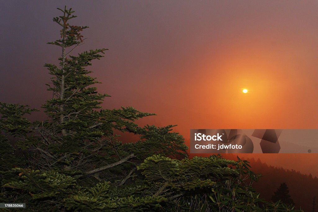 Hazy coucher du soleil - Photo de Admirer le paysage libre de droits