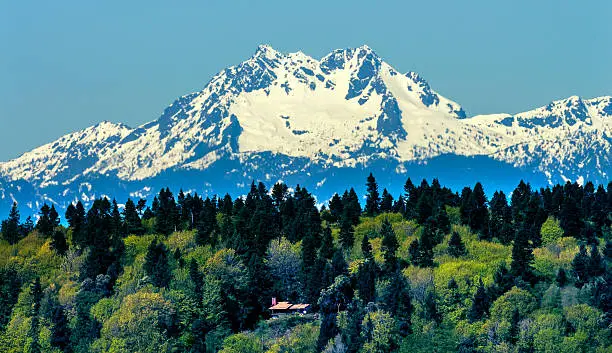 Bainbridge Island Mount Olympus Snow Mountains Olympic National Park Washington State Pacific Northwest Closeup Evergreen