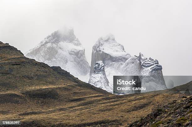 Torres Del Paine - Fotografie stock e altre immagini di Ambientazione esterna - Ambientazione esterna, Ambientazione tranquilla, America del Sud