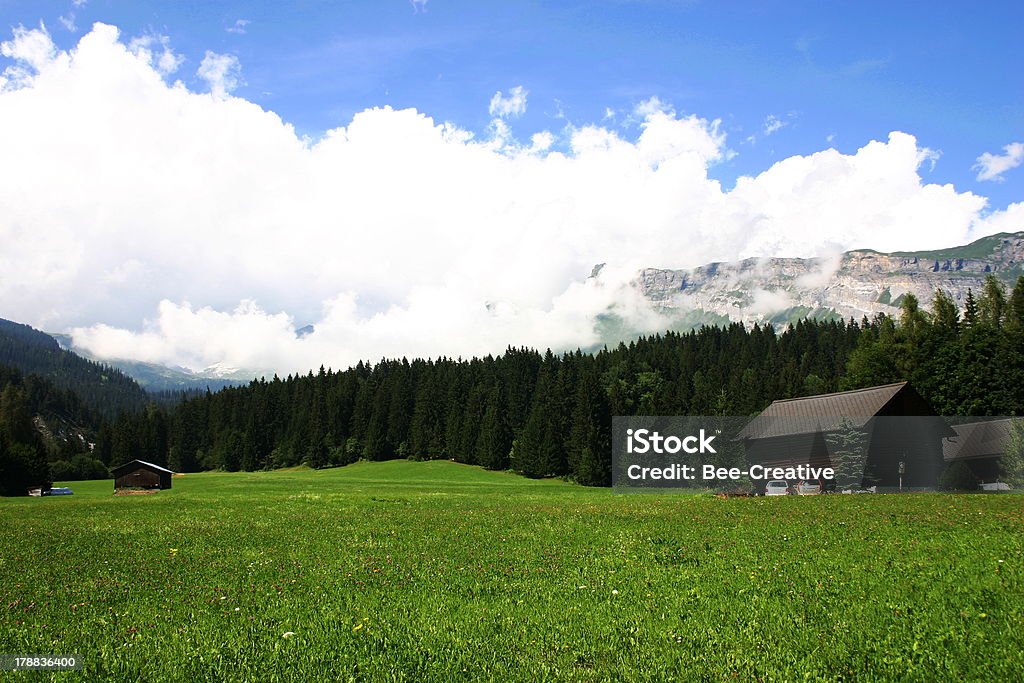 Paesaggio delle Alpi Southeat Germania - Foto stock royalty-free di Agricoltura