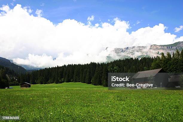 Paesaggio Delle Alpi Southeat Germania - Fotografie stock e altre immagini di Agricoltura - Agricoltura, Alberato, Albero