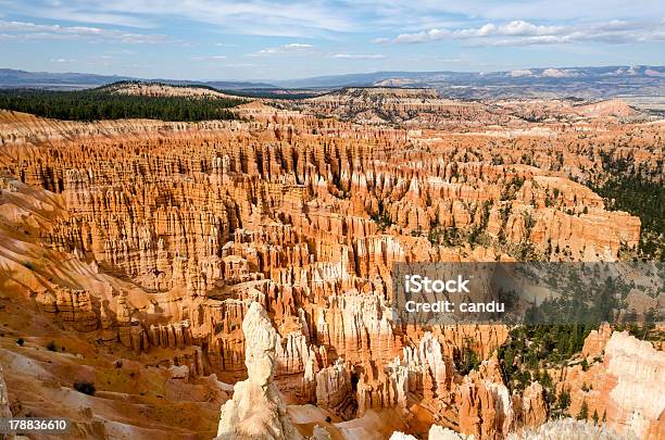 Parque Nacional Bryce Canyon Foto de stock y más banco de imágenes de Acantilado - Acantilado, Aguja - Chapitel, Aire libre