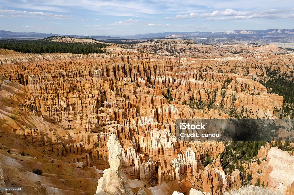Park Narodowy Bryce Canyon - Zbiór zdjęć royalty-free (Ameryka)