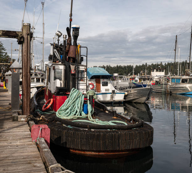 istock Old Tug At Moorings 1788367291