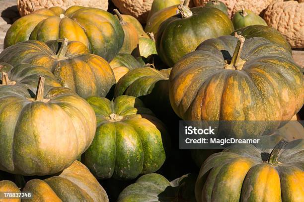 Pumpkinsappena Raccolto - Fotografie stock e altre immagini di Ambientazione esterna - Ambientazione esterna, Autunno, Casa