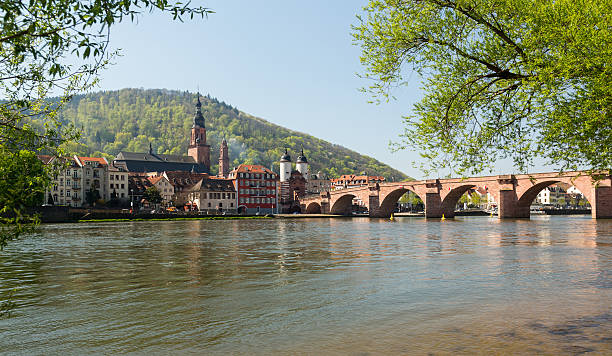 istock Old bridge into town of Heidelberg Germany 178838532