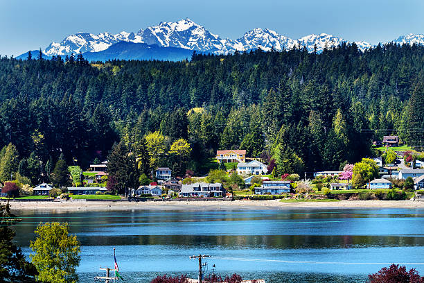 poulsbo isla de bainbridge snow mountains washington - olympic national park fotografías e imágenes de stock