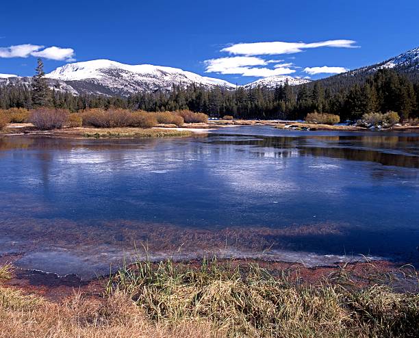 istock Dana Fork River, Yosemite National Park, USA. 178839050