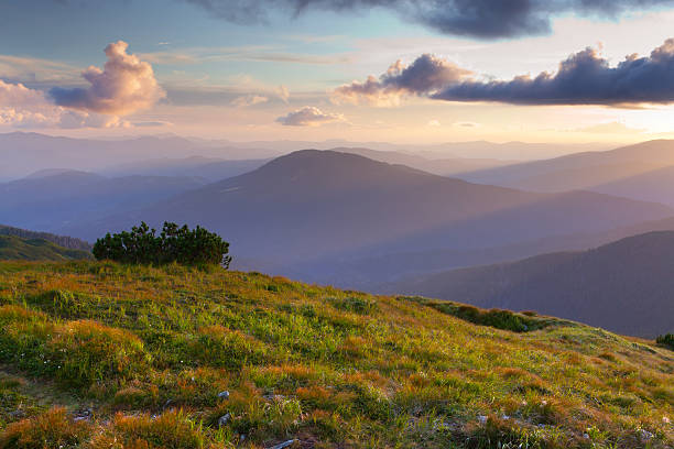istock Beautiful summer landscape in the mountains. Sunset 178839420