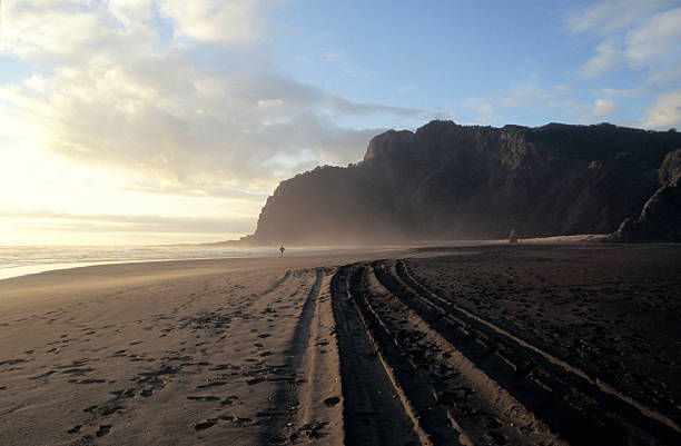istock New Zealand beach 178840109