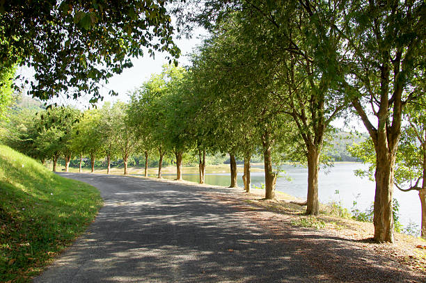 istock Curve road on the dam. 178840189