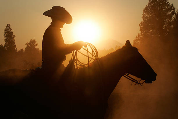 istock Silhouette cowboy and horse 178840828