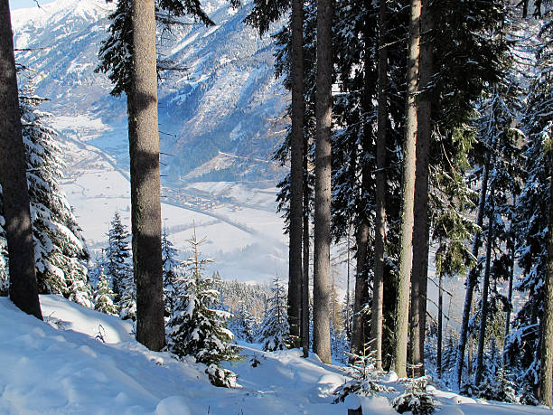 istock Mountain scenery in the Alps. 178841097