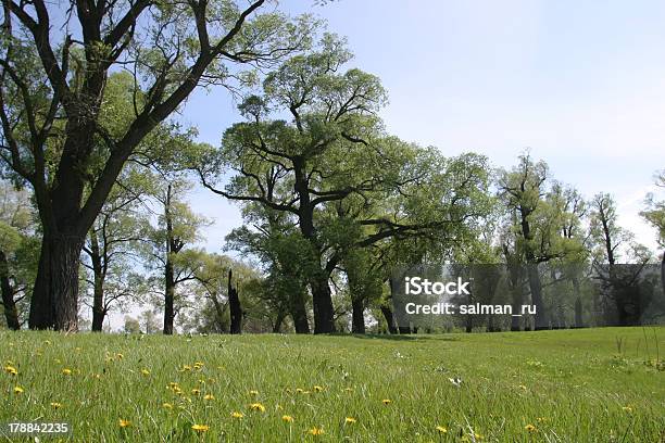 Foto de Paisagem De Verão e mais fotos de stock de Amarelo - Amarelo, Azul, Cena Não-urbana