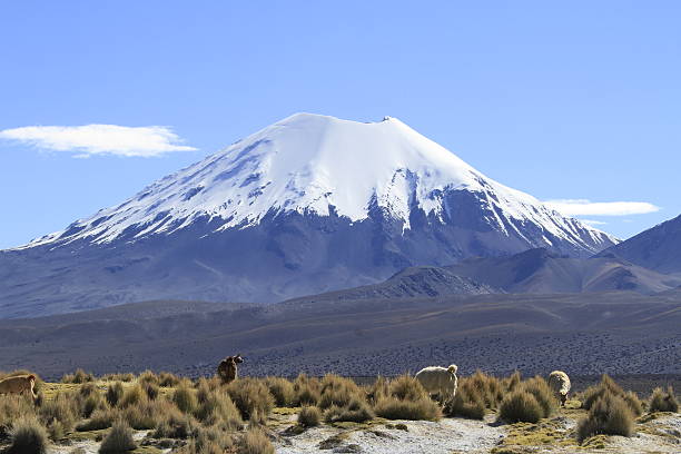 istock Sajama National Park 178842825