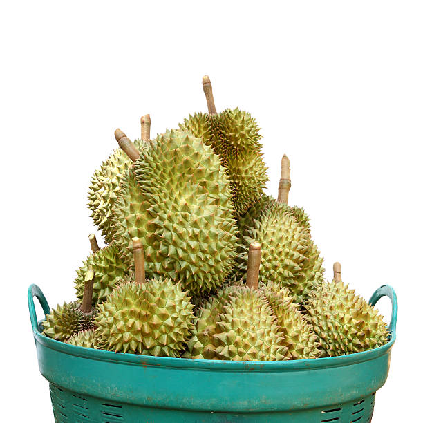 Durians in the green basket