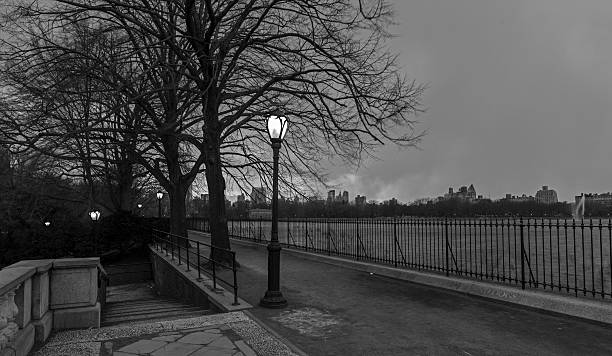 istock Central Park, New York City 178843054
