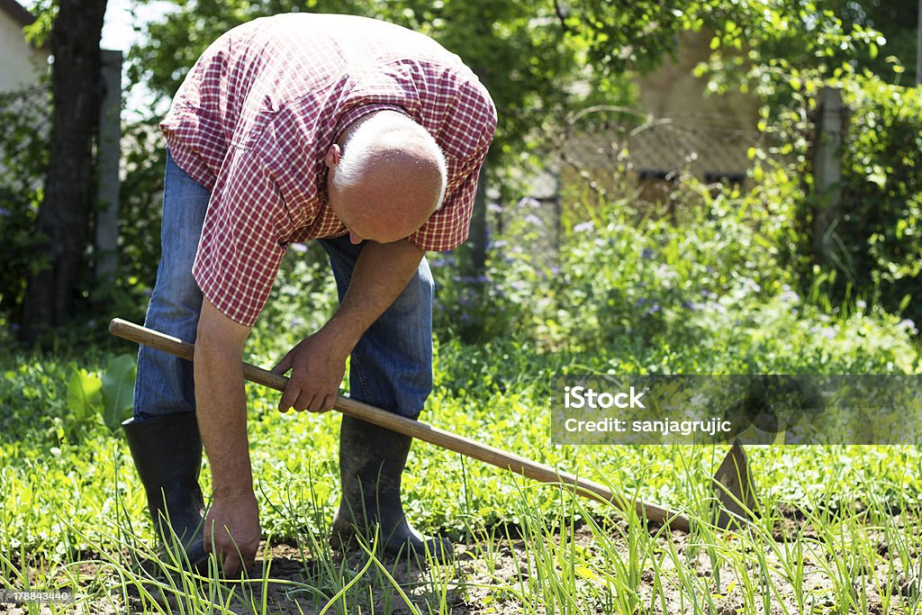 Senior mâle Jardinier - Photo de Hommes libre de droits
