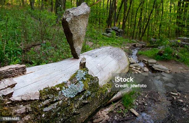 バランスをロック - バランスのストックフォトや画像を多数ご用意 - バランス, レンズ, 写真