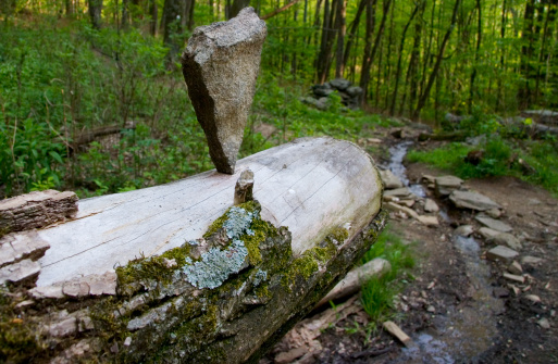 A balancing cairn on a dead tree