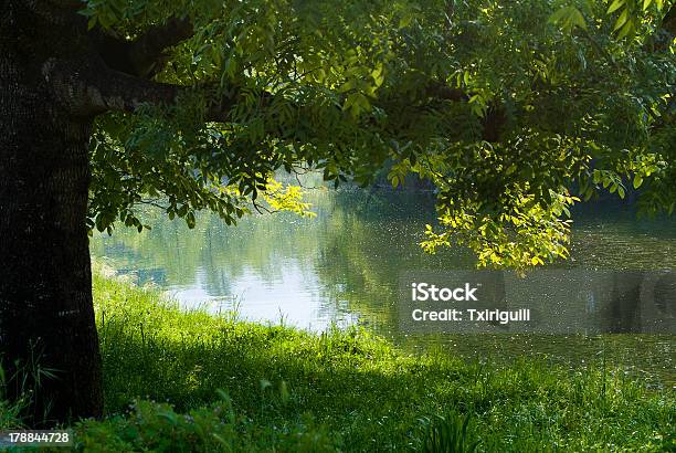 Fiume In Spagna - Fotografie stock e altre immagini di Acqua - Acqua, Ambientazione esterna, Angolo - Forma