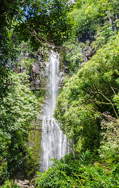 isola di maui - waterfall maui hana coast hawaii islands foto e immagini stock