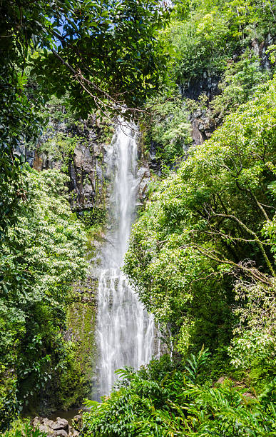 Maui Maui waterfall with lush tropical vegetation hana coast stock pictures, royalty-free photos & images