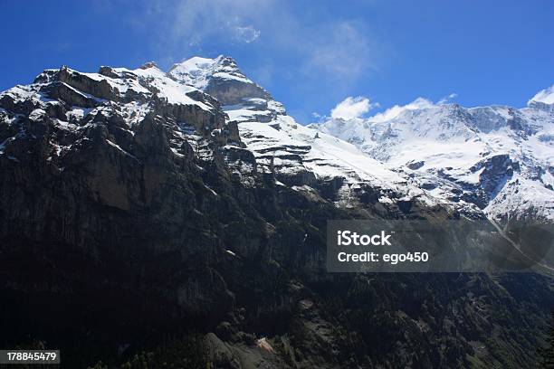 Alpi Svizzere - Fotografie stock e altre immagini di Alpi - Alpi, Ambientazione esterna, Aster