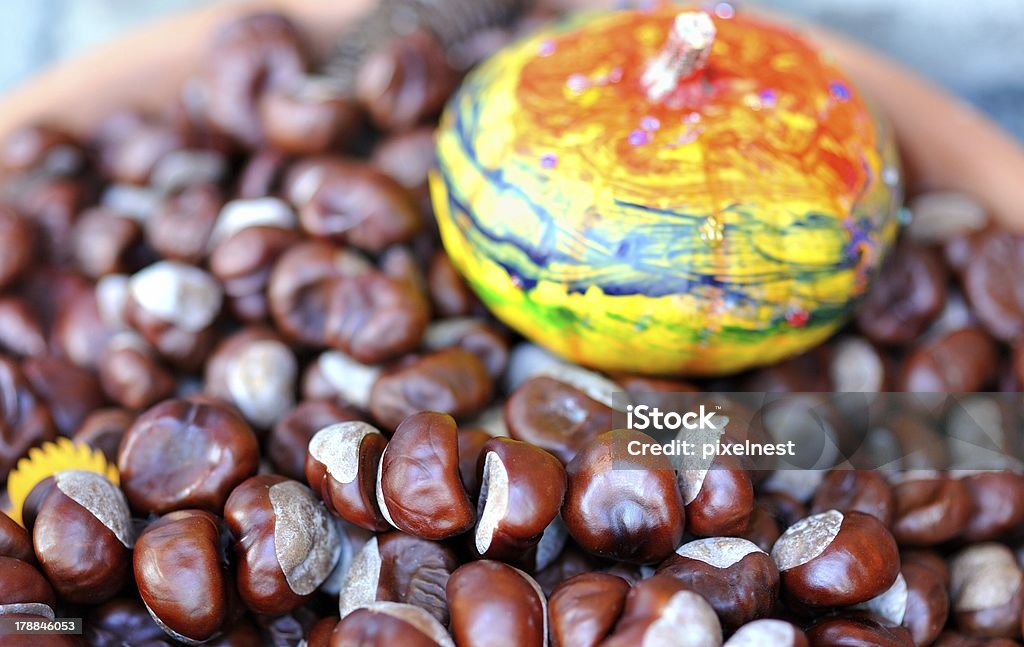 Châtaignes et de citrouille - Photo de Automne libre de droits