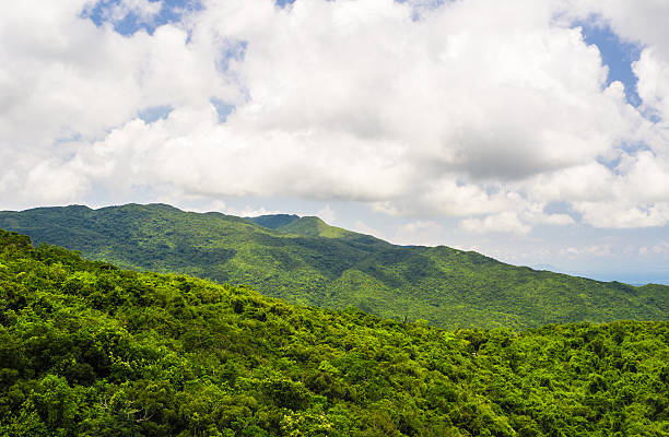 istock Mountain Tropical Rainforest in Hainan, China 178846120