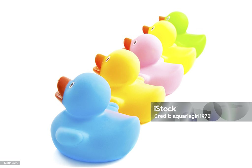 Feliz ducklings - Foto de stock de Amarillo - Color libre de derechos