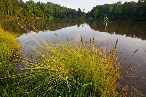 Lake Norman Lake Norman in the Piedmont of North Carolina norman style stock pictures, royalty-free photos & images