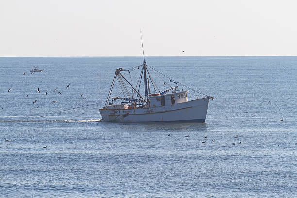 istock Commercial Fishing Trawler 178847263