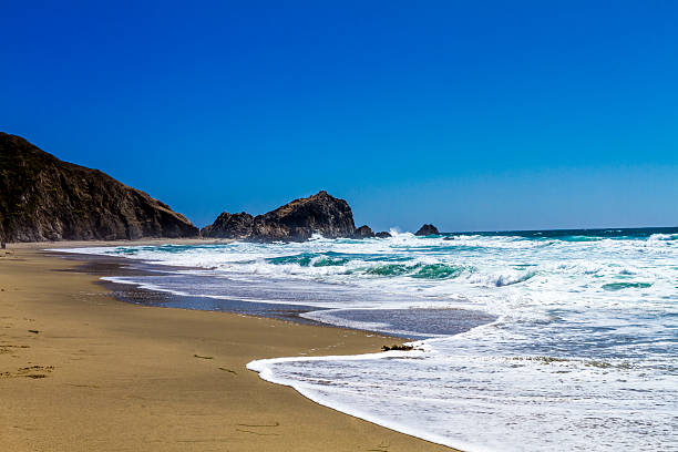 point reyes national park, w kalifornii, pacific ocean malowniczym - point reyes national seashore northern california beach california zdjęcia i obrazy z banku zdjęć