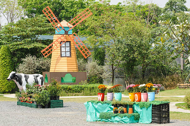 Beautiful flower garden  in thailand