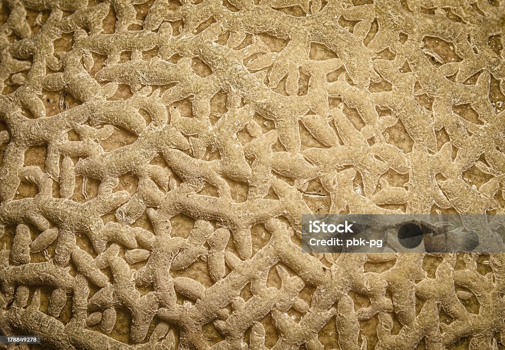 Cantaloupe Detail A close up composition of a cantaloupe rind. Close-up Stock Photo