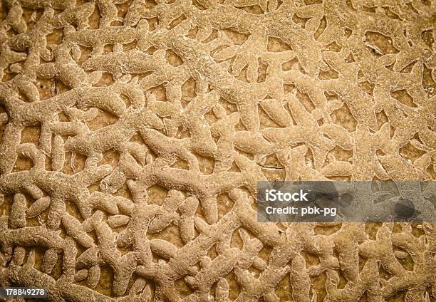 Cantaloupe Detail Stock Photo - Download Image Now - Close-up, Full Frame, Magnification