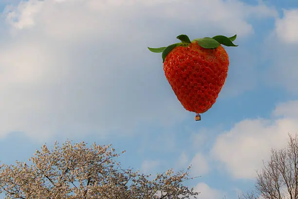 Photo of hot air balloon in the shape of a strawberry