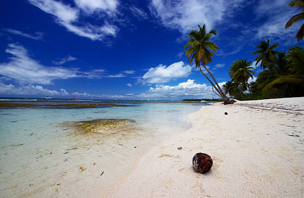 istock Beautiful caribbean beach 178850644