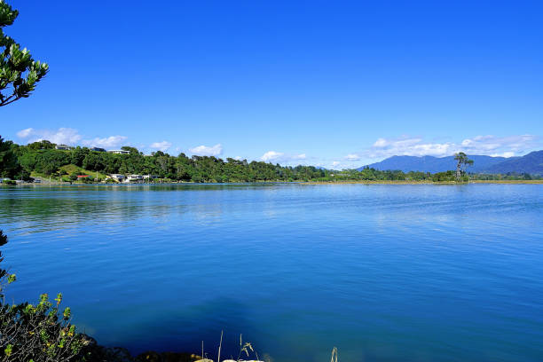 Image captured while traversing the foreshore at Collingwood which is a town in the north-west corner of the South Island of New Zealand along Golden Bay / Mohua. The town is an ecotourism destination due to its proximity to Kahurangi National Park and Farewell Spit Nature Reserve.