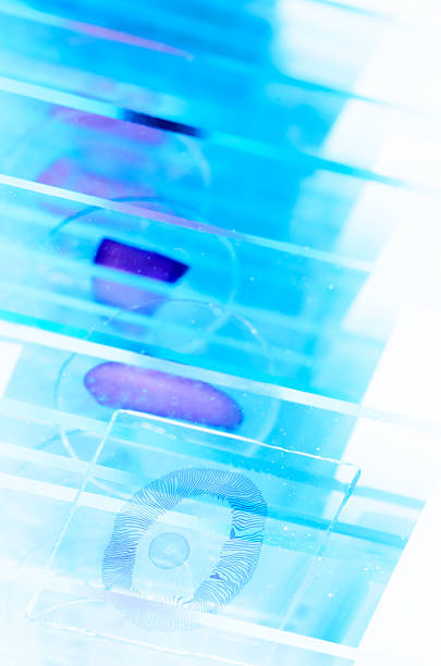 science medical glass microscope slide with sample