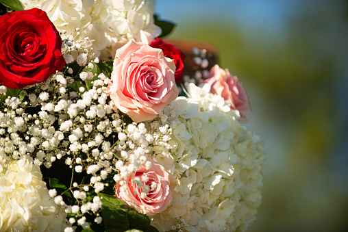 Gorgeous back lit bridal bouquet of red, pink and whit roses brides bouquet
